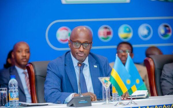 Rwanda-DRC: FARDC judged incompetent and mediocre